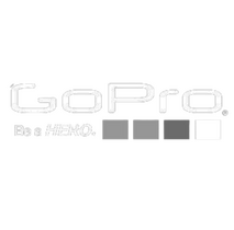 Go Pro